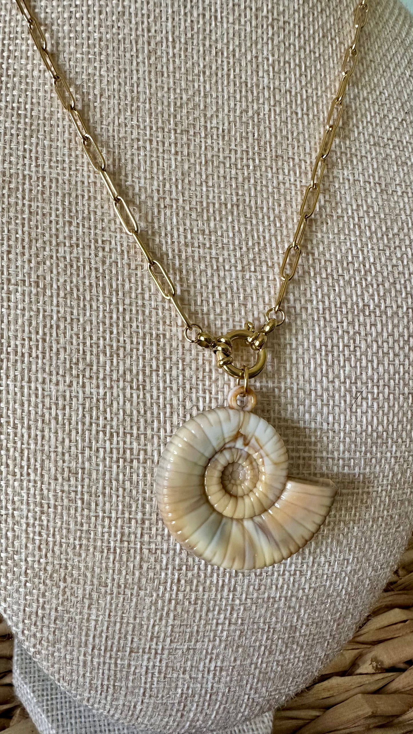 Spiral Shell Paperclip Necklace