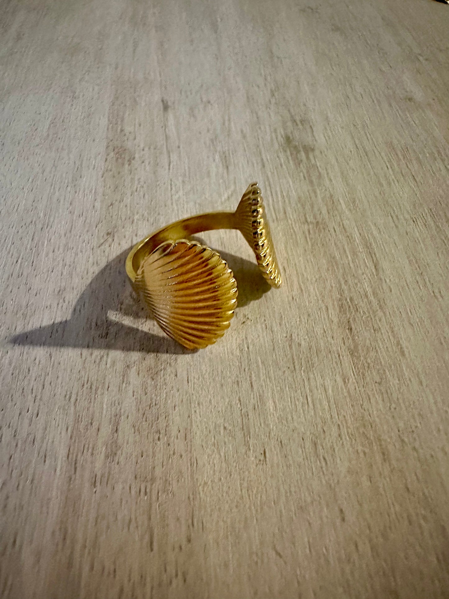 Double Shell Ring