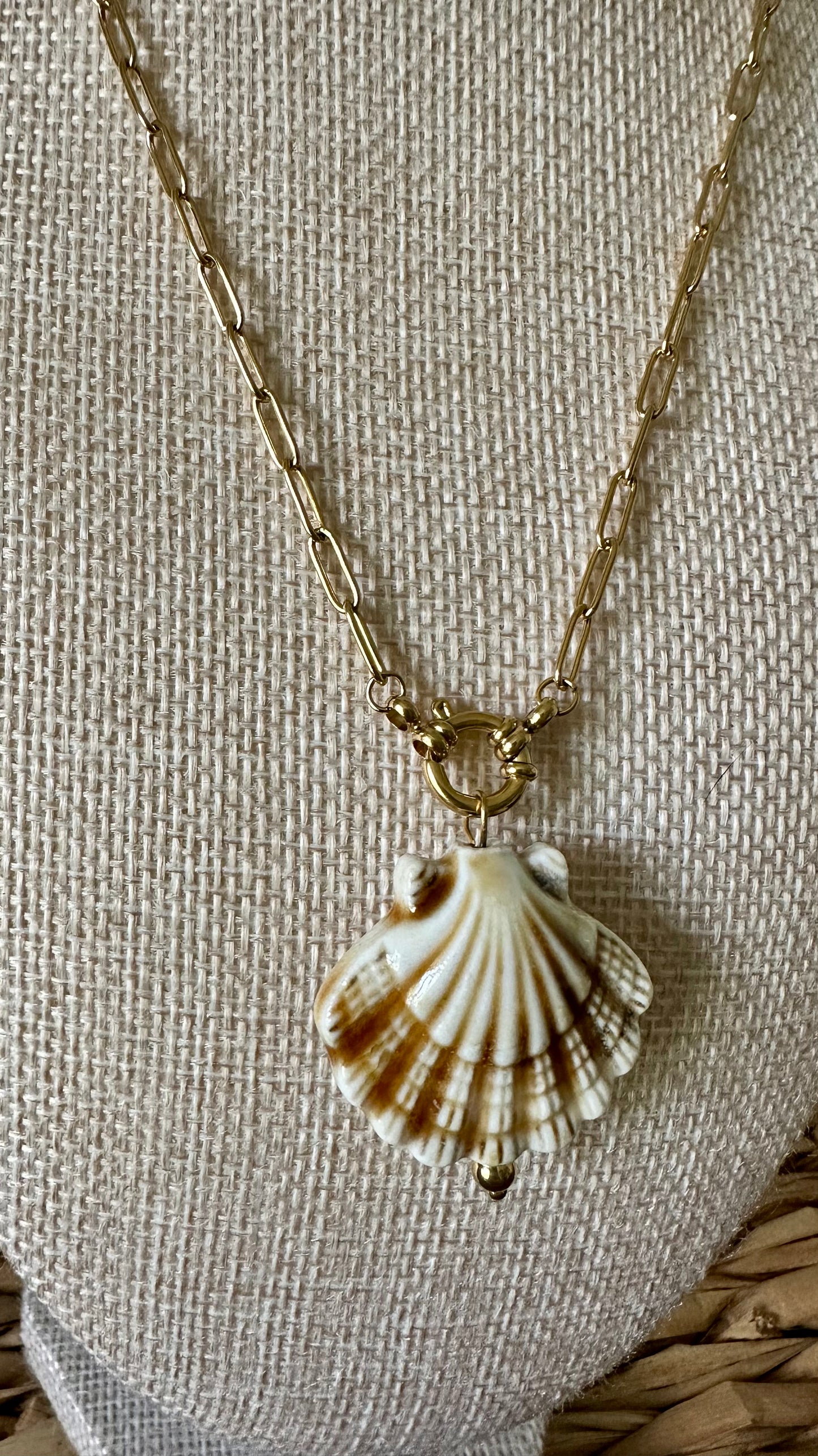 Scallop Shell Paperclip Necklace