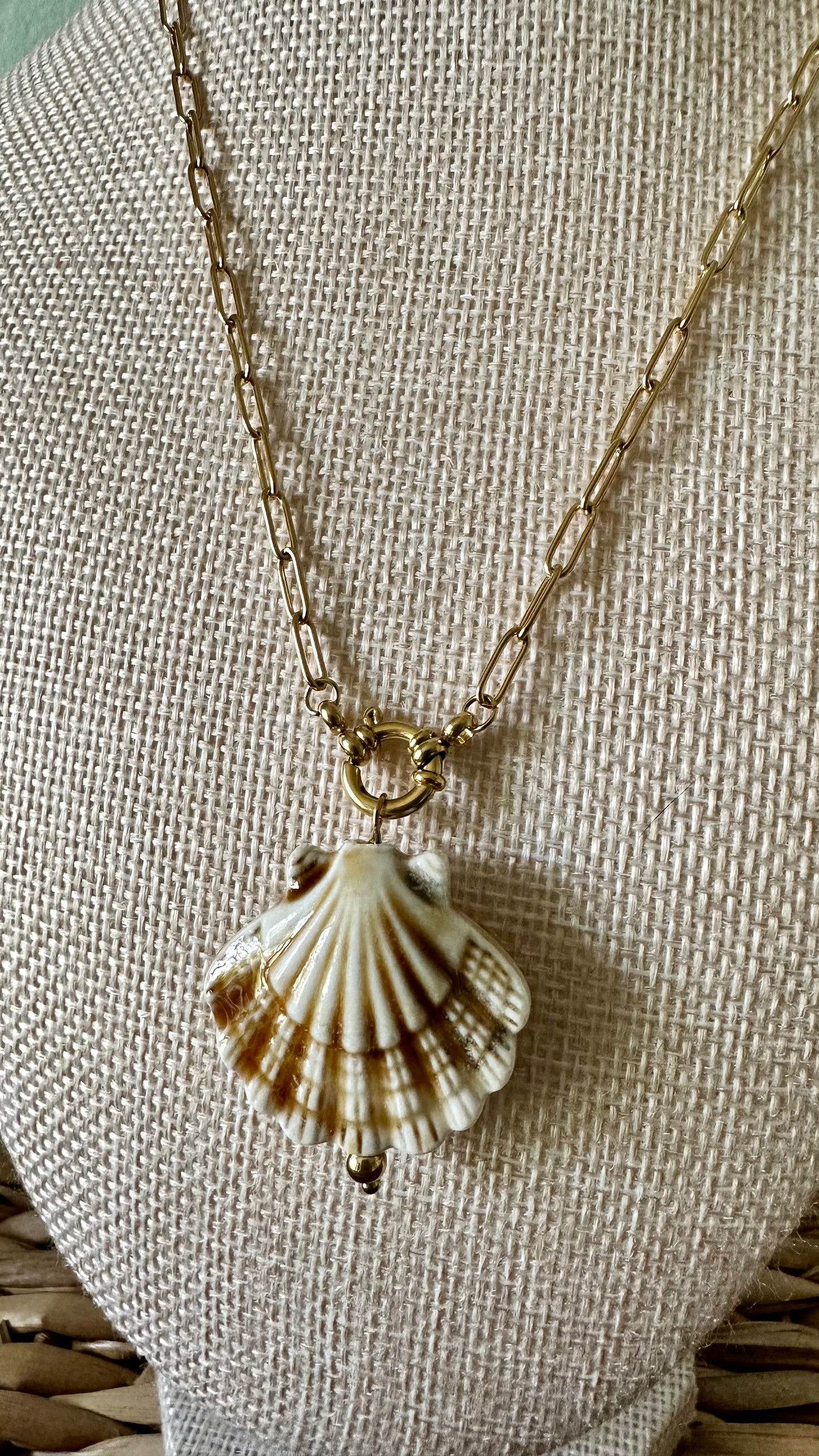 Scallop Shell Paperclip Necklace