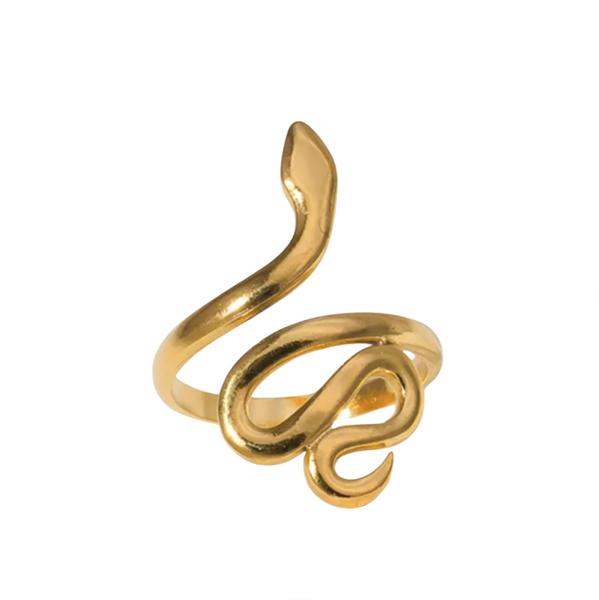 Zelda Snake Ring